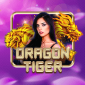 bet slip Dragon Tiger live casino game